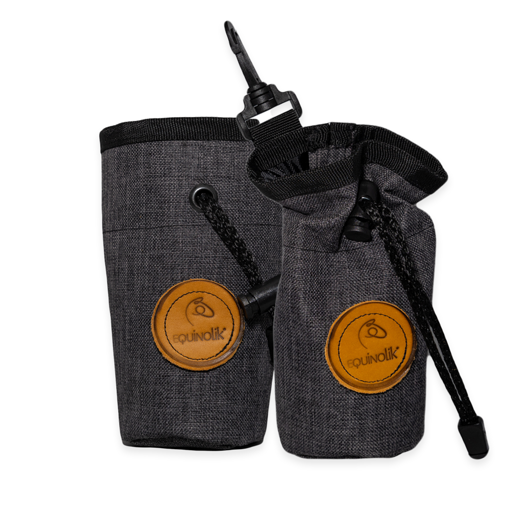 Bolsa Viajera