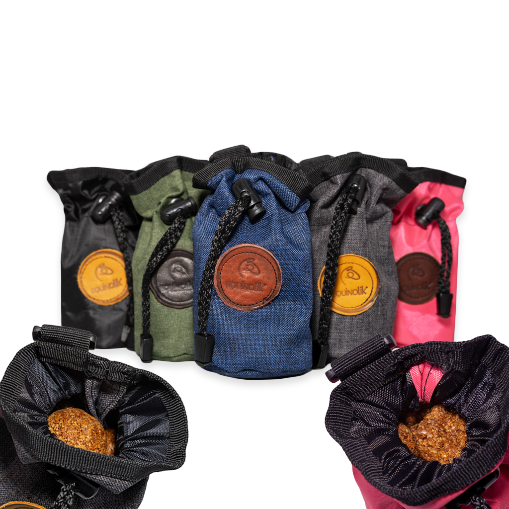 Bolsa Viajera